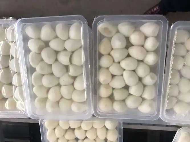 整線解決方案，優(yōu)化生產(chǎn)流程：鵪鶉蛋包裝神器來襲